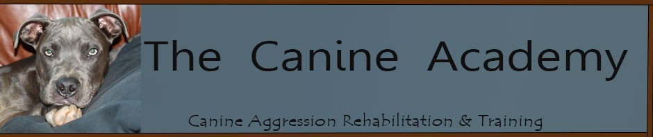 TheCanineAcademy.org